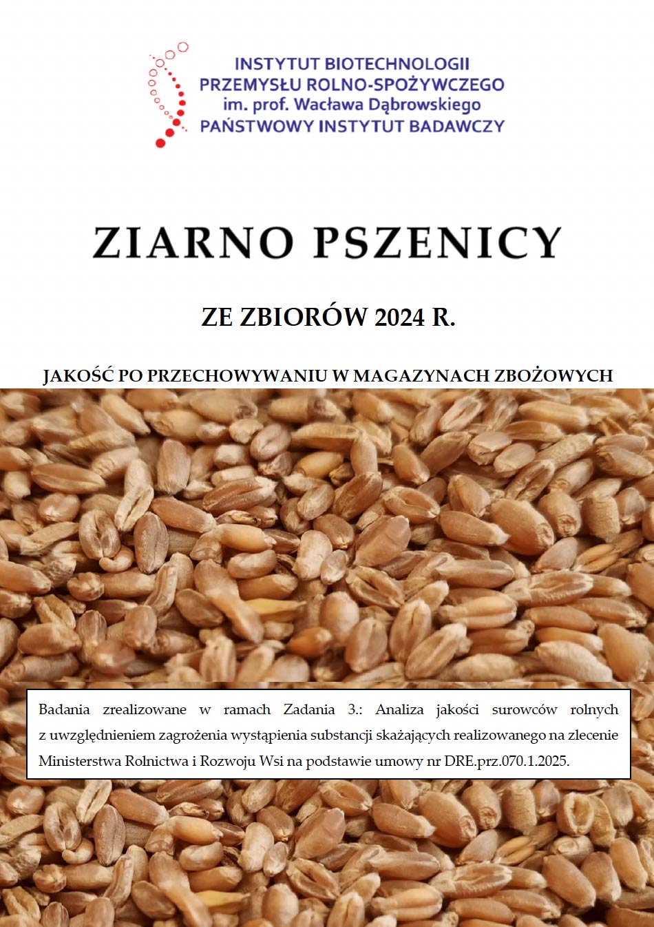 Ziarno_w_magazynach_2024