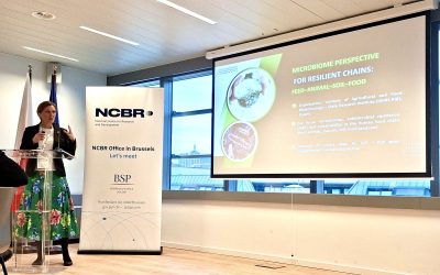 Horizon Europe Cluster 6 calls