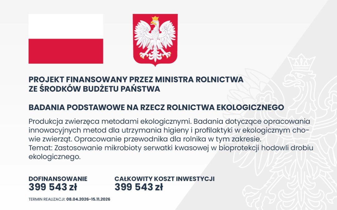 Zastosowanie mikrobioty serwatki kwasowej w bioprotekcji hodowli drobiu ekologicznego.